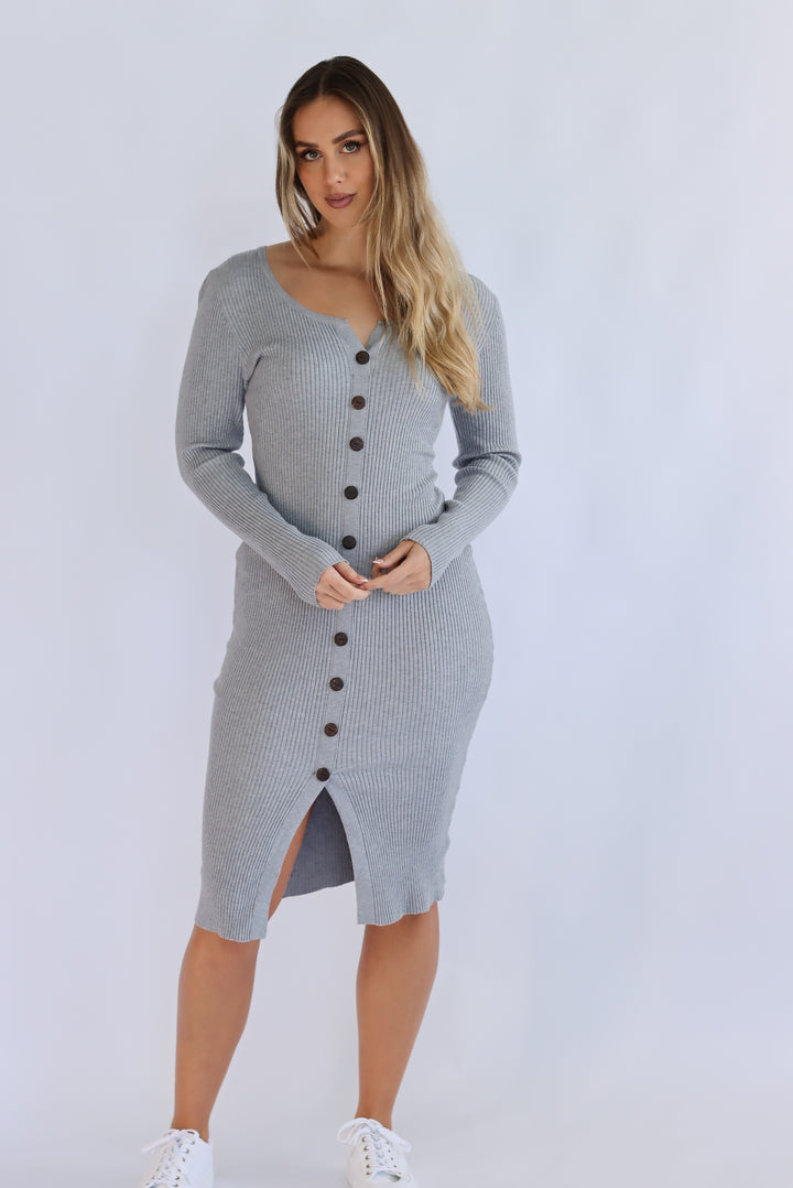 Frenchesca Bodycon Dress In Grey