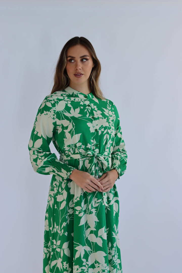 Arbella Dress In Green