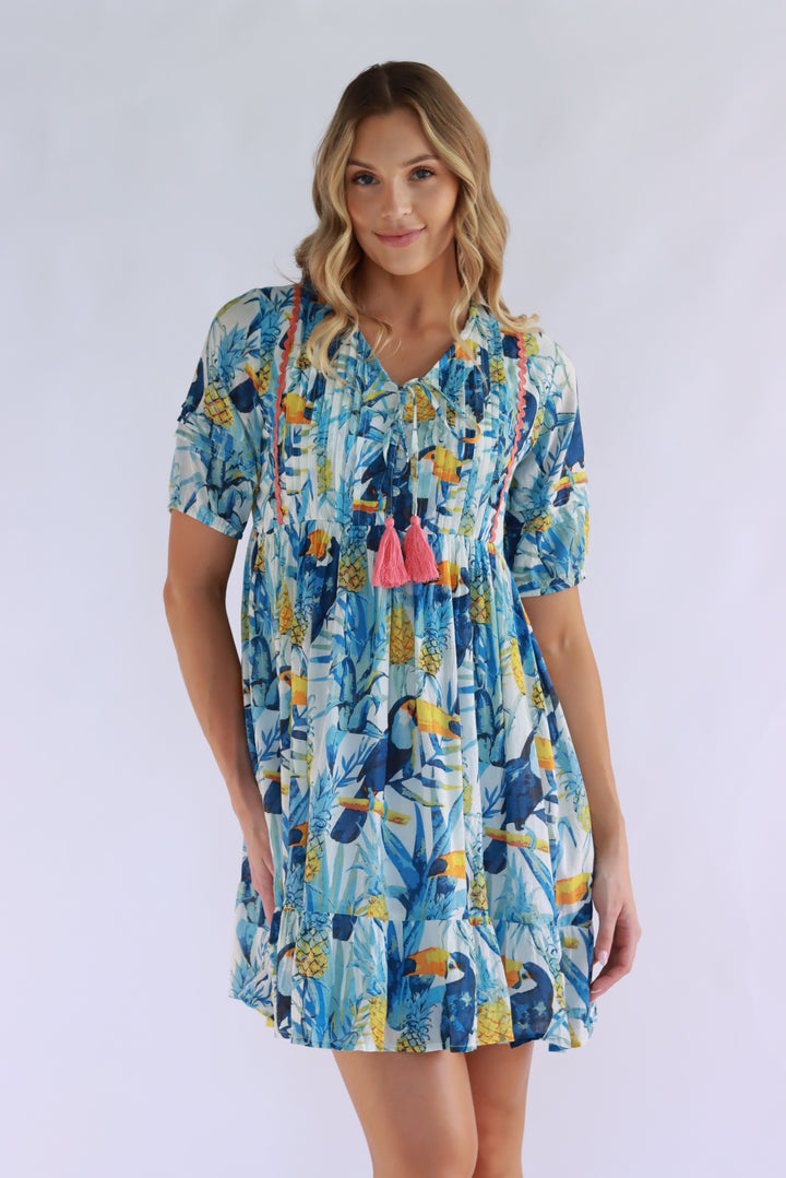 Kamiya Dress In Blue