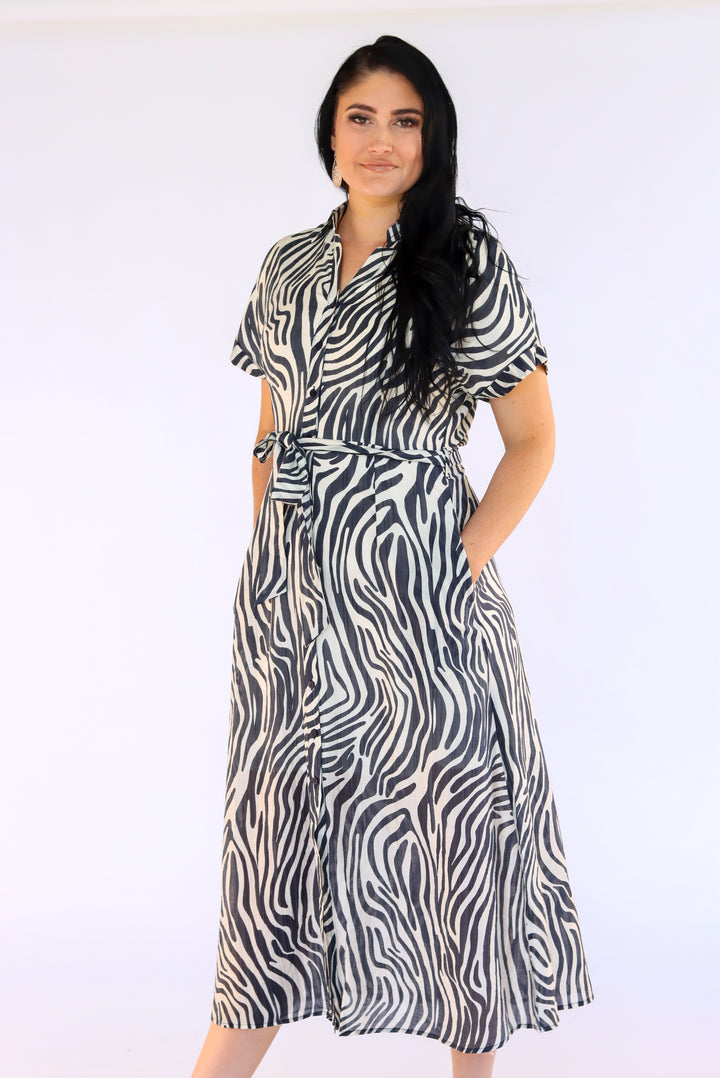 Alana Shirt Dress In Ash Grey